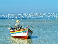 djerba la douce tunisie djerba la douce