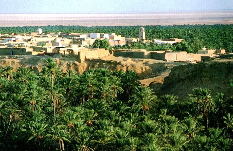 nefta tunisie
