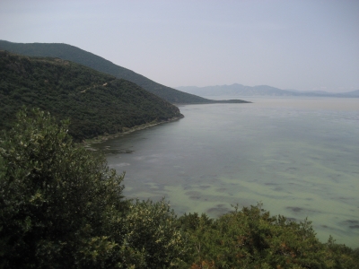 parc ichkeul tunisie